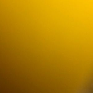 Meet your Posher, Ana